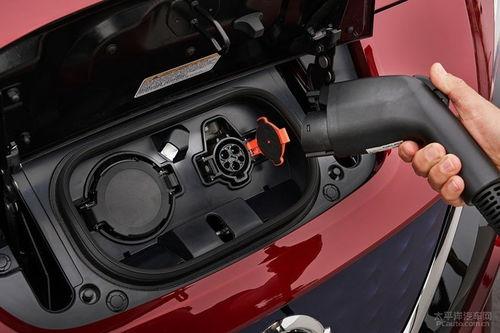 国产特一级,匠心独运,品质卓越的国产之光